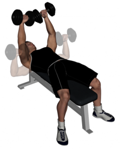 Dumbbell Bench Vs Barbell Bench