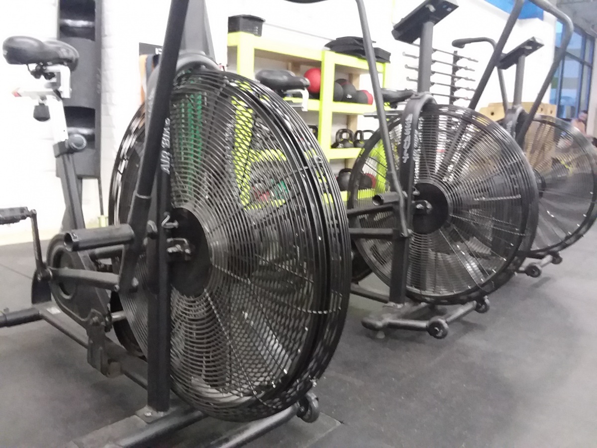 Assault Fitness Air Bike review