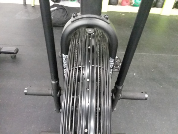 assault air bike weight loss