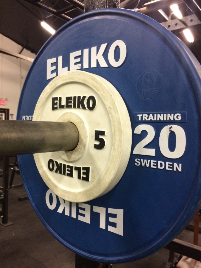 Eleiko Training Plates Review