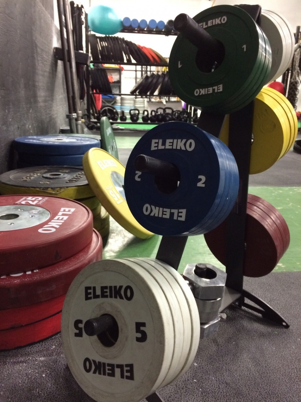 Eleiko Training Plates Review