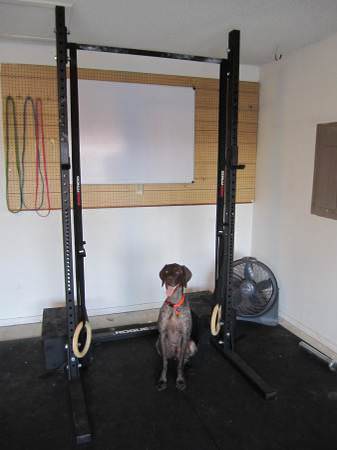 Rogue S-2 squat stand, gymnastics rings, and sand bags to hold it down